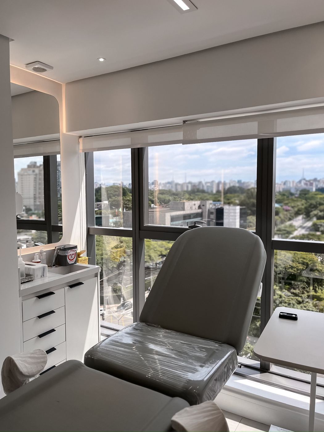 Consultório da Casa Moreira com vista para o Parque Ibirapuera